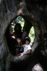 Tacho, Nene, Mommy, 1985 Road Trip